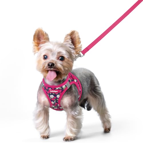 Image of rabbitgoo Dog Harness Small Sized and Leash Set, Step-in Puppy Pet Vest