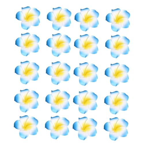 TEMPNAP 50 fރwAsptWpjwbht[ nCwAANZT[ q⌋̔