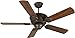 Craftmade K11010 Chaparral 52" Outdoor Ceiling Fan with Pull Chain, 5 Blades, Aged Bronze Textured