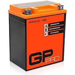 Bateria Para Suzuki Gs 500 GP-PRO GB14L-A2 12V 14Ah GEL Batería de arranque (compatible con YB14L-A2 / 51411) (Sin necesidad de mantenimiento/Sellado) Moto Acumulador