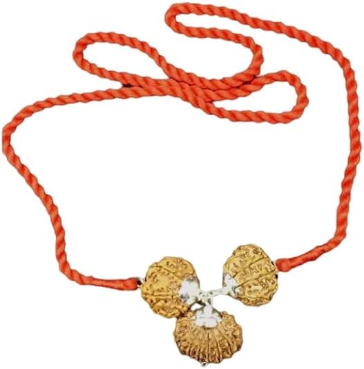 Rudraksha du Népal 6, 8, 15 Mukhi en pendentif argent pour harmoniser votre bureau