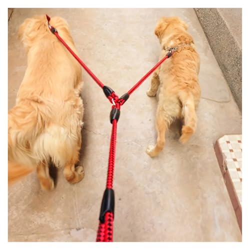 Laisse double chien bleu fini les nœuds pour deux animaux