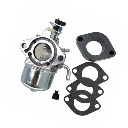 Carburateur 715494 contre les pannes de moteur Briggs OHV