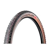 schwalbe racing ralph 29 x 2.0 Neumáticos plegables Schwalbe RacingRalph HS490 SR-Cubierta para Bicicleta, Adultos Unisex, Negro, 29 Zoll