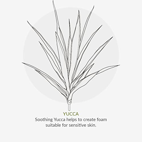 Green People Organic Children Lavender Burst Shampoo 200ml | Natural & Organic Shampoo for Kids & Toddlers | Eczema-Friendly & Gentle on Sensitive Skin | SLS Free & Paraben Free | Vegan, Cruelty Free - Image 7