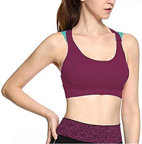 Image of Dilency Sales Sports Bra for Women's /Girls (Gym,Yoga,Running,Workout) (Removable Pads) (30 to 34 Size)