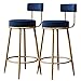 Amraihpy Juego de 2 taburetes de Bar de Metal con Respaldo Alto para Silla de Comedor, Taburete con reposapiés, Asiento de cojín de Terciopelo, Taburete de Bar para cafetería, Comedor, Cocina (65cm)