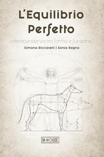 L’equilibrio perfetto: Interdipendenza tra forma e funzione