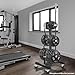 Philosophy Gym Rolling Olympic/Bumper Weight Plate Tree or Bumper Plate Tree, Commercial Vertical Storage Rack with Barbell Holders