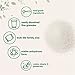 Citric Acid 6 Pounds, Food Grade, Fine Granular Powder | 100% Pure, Concentrated Anhydrous Form | Natural Preservative + Great for Cooking, Cleaning, & DIY Bath Bombs | Non-GMO