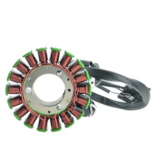 Tchuyan Zündspule für BM G310GS/G310R (2016-2024)