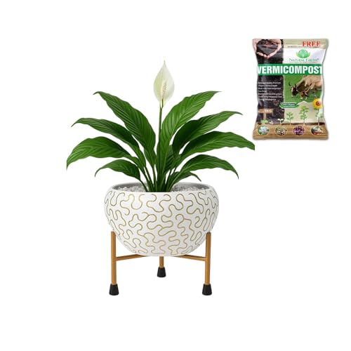 Image of Natural Earth Metal Flower Vase Planter Pot with Iron Stand | Decorative Plant Cachepot for Indoor & Outdoor Use | Succulent Pot for Home & Garden Decor (White Golden Wave)