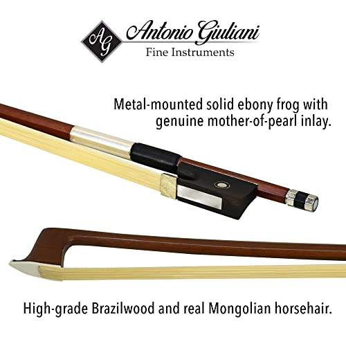 Electric Violin Bunnel Edge Outfit 4/4 Full Size (Black) — With Carrying Case And Accessories - Headphone Jack - Piezo Ceramic Pick-Up – From Kennedy Violins #TOP5