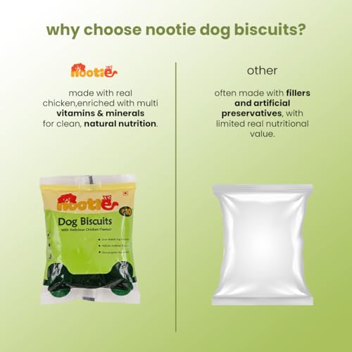 Image of Nootie Chicken Biscuits for Stray Dogs - 40g | High-Protein Crunchy Treat (Pack of 30)