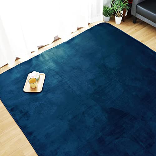 Storepocket ラグ カーペット ラグマット 抗菌 防臭 防ダニ 洗える 3畳 約 200×240 cm ネイビー 無地 なめらか感触のフランネルラグ ホットカーペット対応 カーペット ホットカーペットカバー こたつ敷き ライトキャスト LightCast