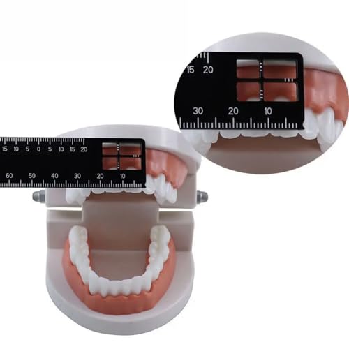 Calibrador dental de precisión de aluminio 105x20x2 mm miniatura 4