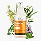 Fußspray BioFit pflanzlich Casida - Spray zum Schutz, Pflege & Hygiene der Füße und Schuhe - 100 ml