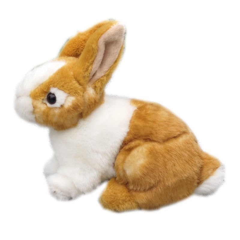Doudou lapin en peluche hollandais source de réconfort et tendresse