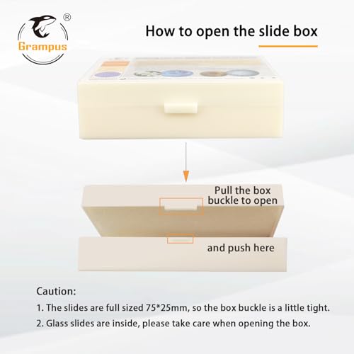 Image of 30 Prepared Microscope Slides with Specimens for Kids Students - Insects, for Biological Science Lab, Children's Science Education, Homeschooling Use