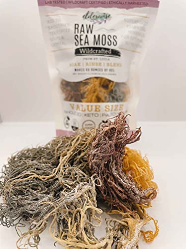 Elderwise Organics Made with Love Sea Moss | Wildcrafted | 2.5 oz | Makes 64 oz of Gel | Raw + Non GMO | Sundried | Mineral Rich | Saint Lucia