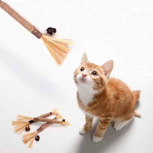 ANMOYIXIA Katzenminze Sticks Kaustangen Katze Katzensticks Katzen Kauhölzer Sticks für Katzen Zahnpflege und Gegen Mundgeruch (3 Stück)