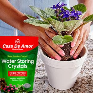 Image of Casa De Amor Water Storing Crystals | Water Retaining Super Absorbent Polymer for Plant, Soil Mixing and Hydroponics Gardening, Lucky Bamboo Plant (500 gm)