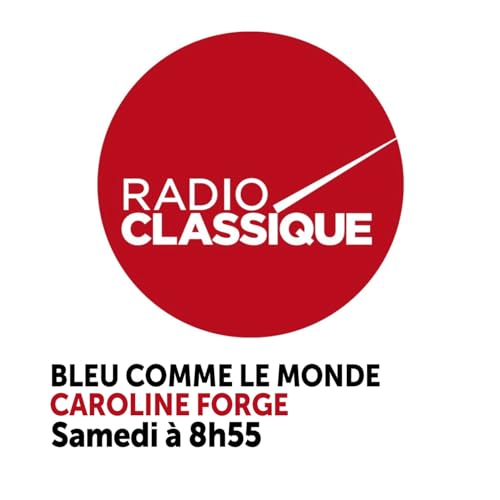 Page de couverture de Bleu comme le monde