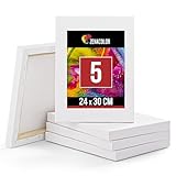 Zenacolor Set de 5 Lienzos para Pintar de 24x30cm - Canvas Lienzo - para Todo Tipo de Pintura: Acrílico, Oleo, Acuarela - Lienzos 100% Algodón sin Ácidos con Bastidor de Madera para Telas Blancas