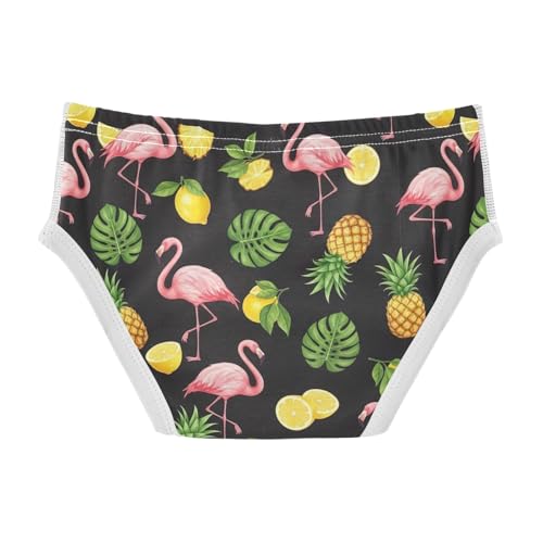 CHIFIGNO Boy Briefs Cotton Underwear Printed Soft Little Boys Brief Underwear, Tropical Pineapples Flamingos Black2