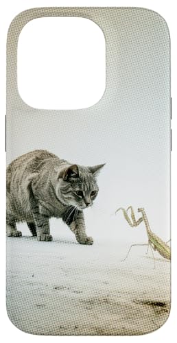 You make me laugh, and youre my Superhero! The Brave Hunter �X�}�z�P�[�X iPhone 14 Pro �p