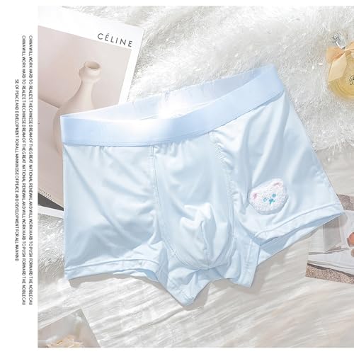 Men's Boxer Briefs - Silk Panties for Men - Cute Couple Underwear Silky Soft Sissy Panties Boy Shorts XL-XXXL2