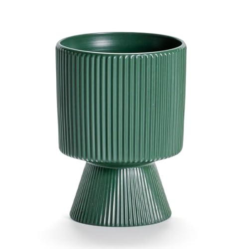 Pot pour plantes d'intérieur pour embellir une chambre à coucher sombre - 2