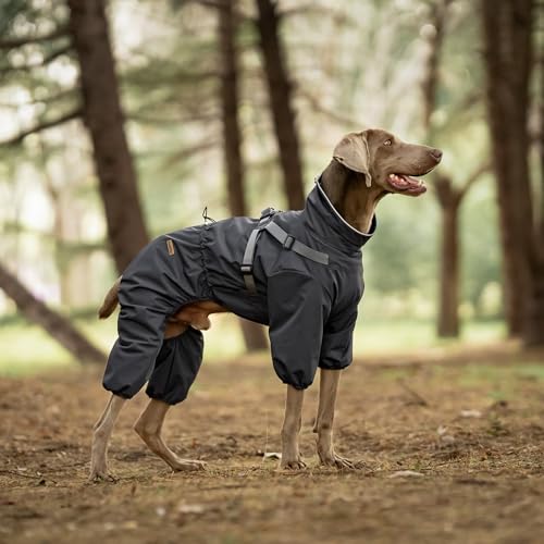 PAWBOSE Regenmantel Hund mit Geschirr Wasserdicht für Kleine, Mittlere und Große Hunde, Reflektierender Regenfester Hunderegenjacke für Sommer, Schöne Hübsche Hundekleidung, 4 Beine, Grau, 2XL