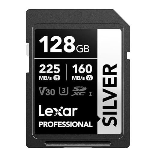 Lexar 128GB Professional Silver SD Card