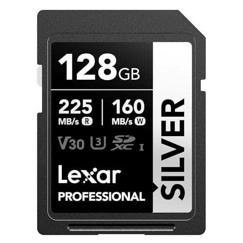 Lexar 128GB Professional Silver UHS-I