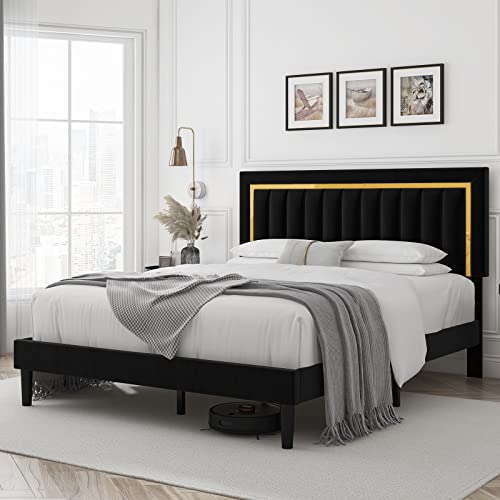 Hithos Queen Size Bed Frame With Adjustable Tufted Headboard, Velvet Upholstered Platform Bed Frame With Gold Trim, Heavy Duty Mattress Foundation With Steel Frame, Easy-Assembly Slats (Black, Queen) #TOP2