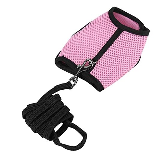 2 stycken marsvin sele och koppel iller råttor hamster mjuk nät sele koppel väst set med klocka för små husdjur chinchilla(M-rosa)