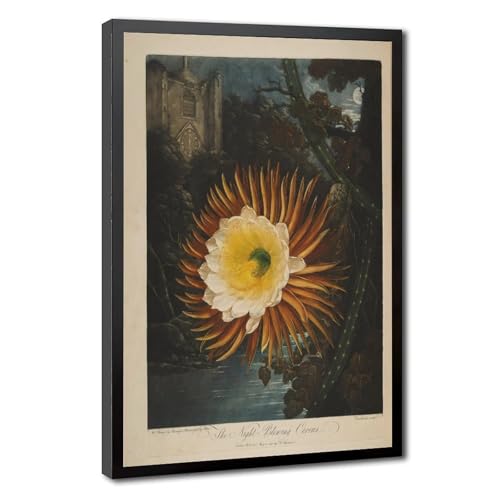Temple de Flora Cereus Déco Murale Vintage Tableau Botanique Noir et Blanc