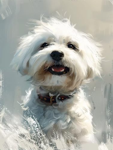  yCgoCio[  DIY G ANG̋ ZbgƃuVt G lp S G hG  A[gNtg z[fR[V av[g 20x30cm 5-2966