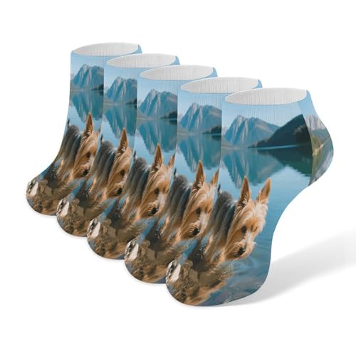 VstaDank Yorkshire Terrier by Lake Ankle Socks 5 Pairs Fashion Invisible Low Cut Sock for Adult Casual Short Sock Soft Cozy No Show Socks