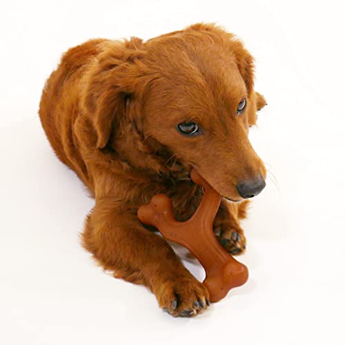Image of Nylabone Strong Chew Gourmet Style Wishbone Dog Chew Toy, Bacon Flavor