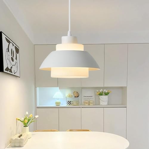 Lampe de plafond nordique et luminaire décoratif pour restaurant