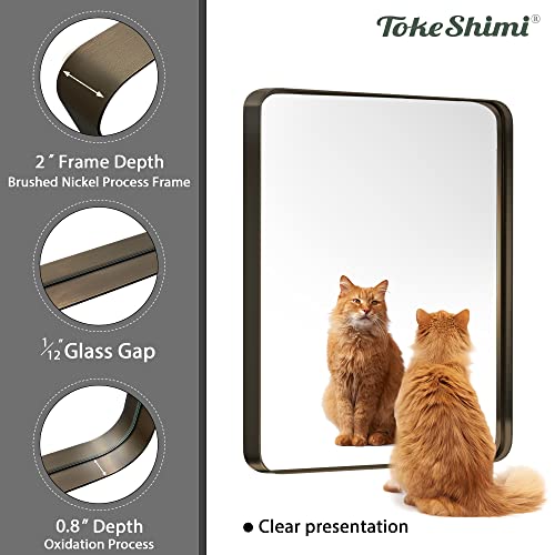Tokeshimi 30 X 36 Inch Bronze Bathroom Wall Mirror Brown Farmhouse Mirror With Non-Rusting Aluminum Alloy Brushed Metal Frame For Modern Farmhouse Bedroom Living Room Decor (Horizontal/Vertical) #TOP6