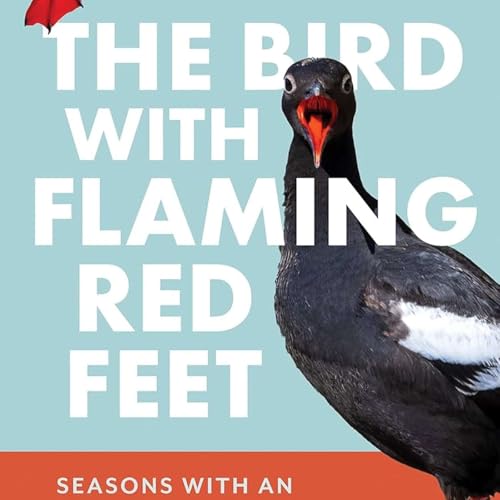 Maria Mudd Ruth - The Bird with Flaming Red Feet