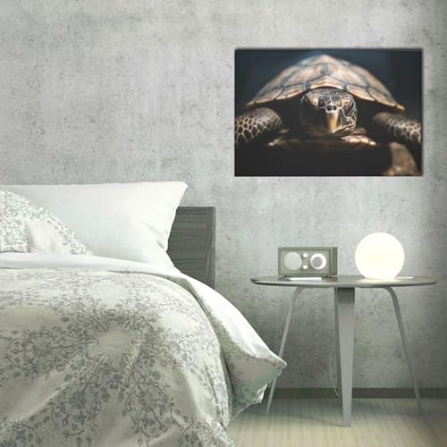 Impression sur toile tortue LPSRTWE 40x61 cm déco salon
