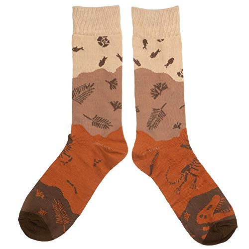 Dinosaur Fossil 3 Pair Crew Box Set4
