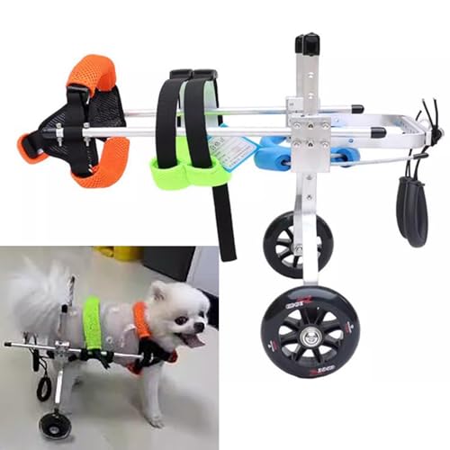 Fauteuil roulant pour chien et chat handicapé | Chariot de rééducation pattes arrières taille S