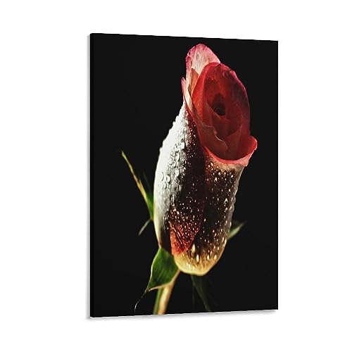 Impression sur toile rose IOFEER tableau mural inspiration 50x75cm pour decoration salon et bureau