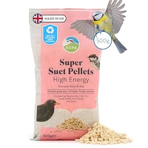 RSPB – Suet Pellets, Wild Bird Food for Small Birds, High Energy Food with Elderberries, Nyjer Seeds, and Sunflower Hearts, Made in the UK, Recyclable Packaging (High Energy) (500g)