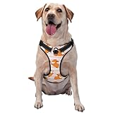 AFHYZY Dog Harness and Leash Set No Pull, Adjustable Reflective Dog Vest Harness with Handle Easy Control for Dogs, Hiking, Walking, Pet - Large (Corgi)